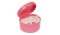 Контейнер для хранения зубных конструкций Revyline Denture Box 07